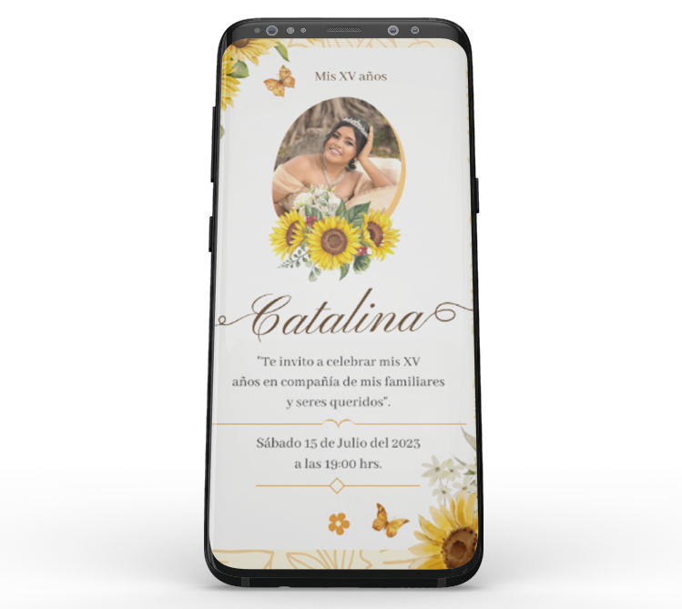 slider_img